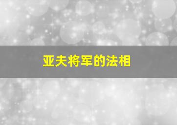 亚夫将军的法相