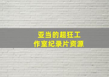 亚当的超狂工作室纪录片资源