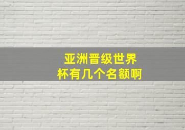 亚洲晋级世界杯有几个名额啊