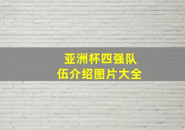 亚洲杯四强队伍介绍图片大全