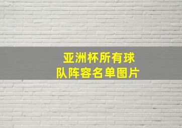 亚洲杯所有球队阵容名单图片