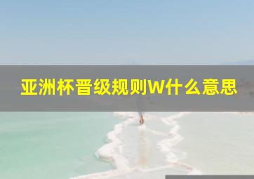 亚洲杯晋级规则W什么意思