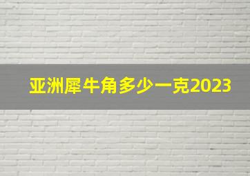 亚洲犀牛角多少一克2023