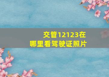 交管12123在哪里看驾驶证照片