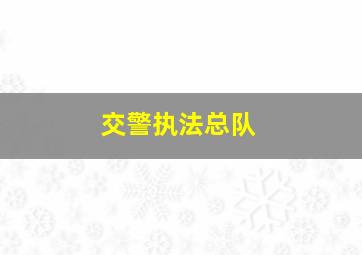 交警执法总队