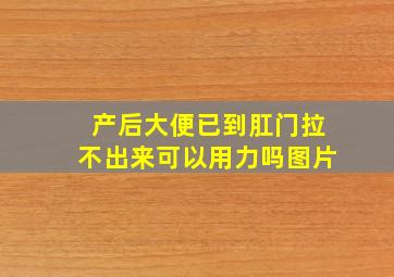 产后大便已到肛门拉不出来可以用力吗图片