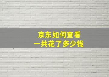 京东如何查看一共花了多少钱