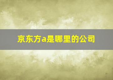 京东方a是哪里的公司