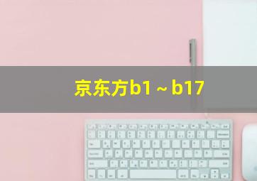 京东方b1～b17