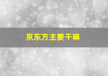 京东方主要干嘛