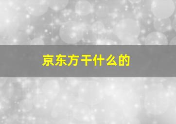 京东方干什么的