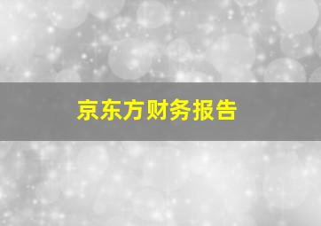 京东方财务报告