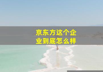 京东方这个企业到底怎么样