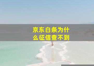 京东白条为什么征信查不到