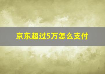 京东超过5万怎么支付