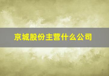 京城股份主营什么公司