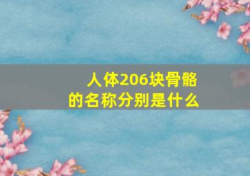 人体206块骨骼的名称分别是什么