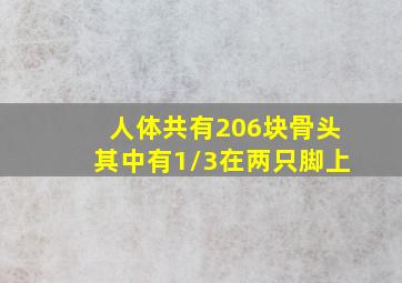 人体共有206块骨头其中有1/3在两只脚上