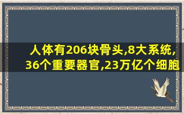 人体有206块骨头,8大系统,36个重要器官,23万亿个细胞