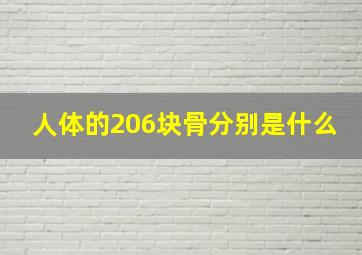 人体的206块骨分别是什么