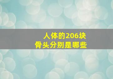 人体的206块骨头分别是哪些