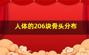 人体的206块骨头分布