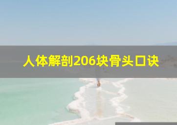 人体解剖206块骨头口诀