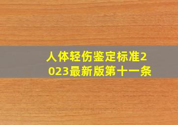 人体轻伤鉴定标准2023最新版第十一条