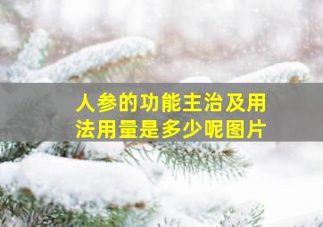 人参的功能主治及用法用量是多少呢图片