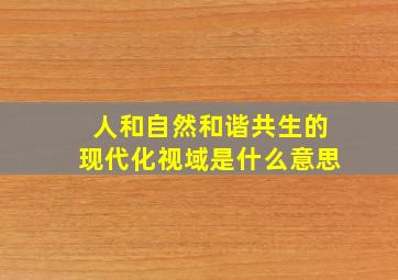 人和自然和谐共生的现代化视域是什么意思