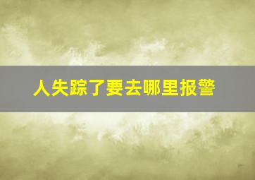 人失踪了要去哪里报警