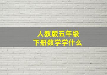 人教版五年级下册数学学什么