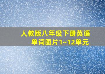 人教版八年级下册英语单词图片1~12单元