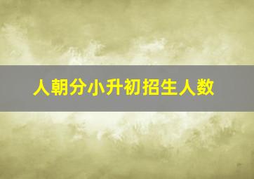 人朝分小升初招生人数