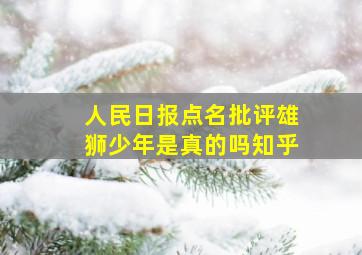 人民日报点名批评雄狮少年是真的吗知乎