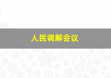 人民调解会议