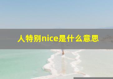 人特别nice是什么意思