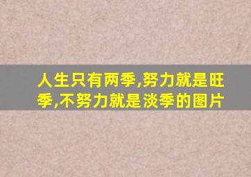 人生只有两季,努力就是旺季,不努力就是淡季的图片