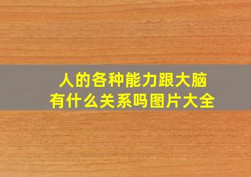 人的各种能力跟大脑有什么关系吗图片大全