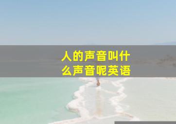 人的声音叫什么声音呢英语