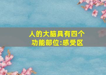 人的大脑具有四个功能部位:感受区