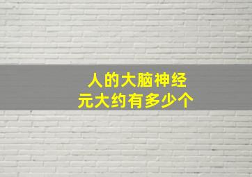 人的大脑神经元大约有多少个