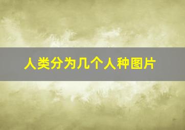 人类分为几个人种图片