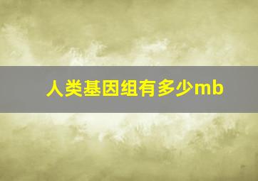 人类基因组有多少mb