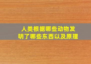 人类根据哪些动物发明了哪些东西以及原理