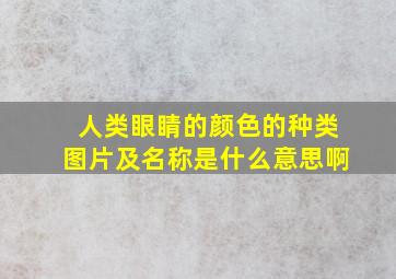 人类眼睛的颜色的种类图片及名称是什么意思啊