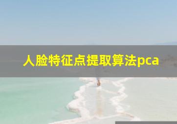 人脸特征点提取算法pca