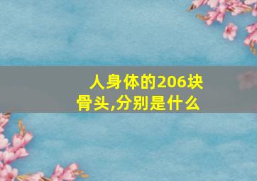 人身体的206块骨头,分别是什么