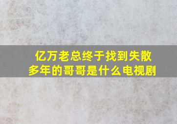 亿万老总终于找到失散多年的哥哥是什么电视剧