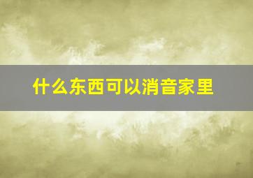 什么东西可以消音家里